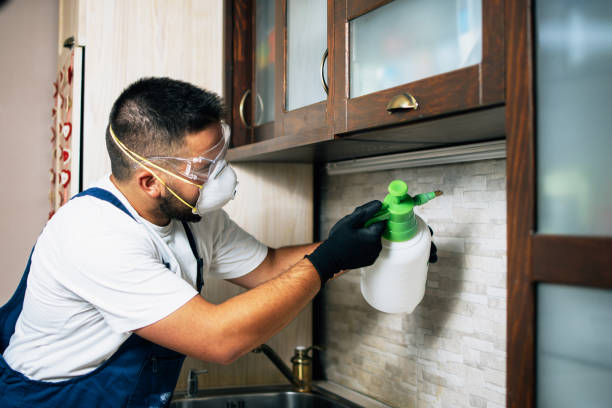 Best Pest Control Cost  in Mansfield, LA