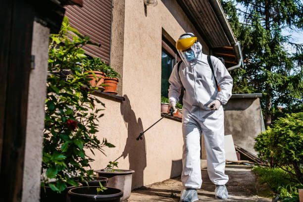 Best Spider Control Near Me  in Mansfield, LA
