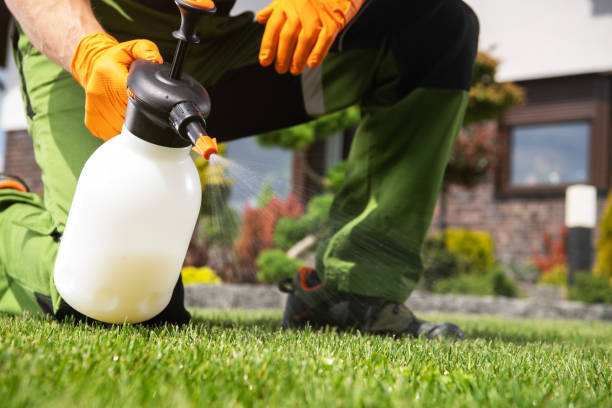 Best Residential Pest Control  in Mansfield, LA