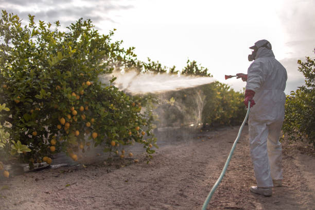 Best Pest Control for Businesses  in Mansfield, LA