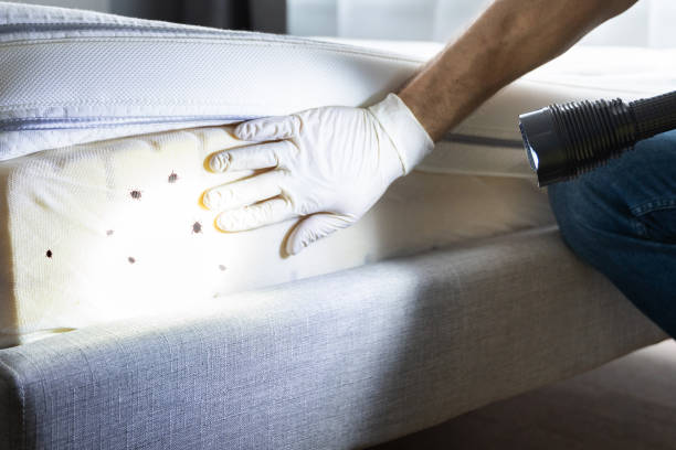 Best Affordable Exterminators  in Mansfield, LA