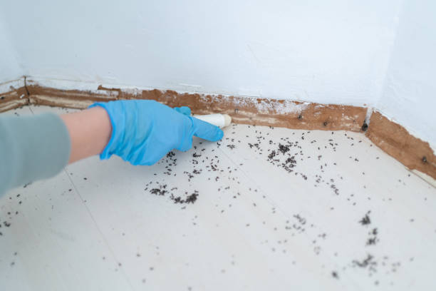 Pest Control Cost in Mansfield, LA